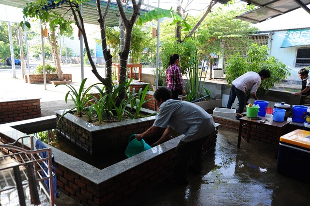 Thu gom, hủy các vật dụng phế thải trong nhà và xung quanh nhà như chai, lọ, mảnh chai, mảnh lu vỡ, ống bơ, vỏ dừa, lốp/vỏ xe cũ, hốc tre, bẹ lá..., dọn vệ sinh môi trường, lật úp các dụng cụ chứa nước khi không dùng đến; bỏ muối hoặc dầu vào bát nước kê chân chạn/tủ đựng chén bát, thay nước bình hoa/bình bông. Ảnh: Nhân Dân.