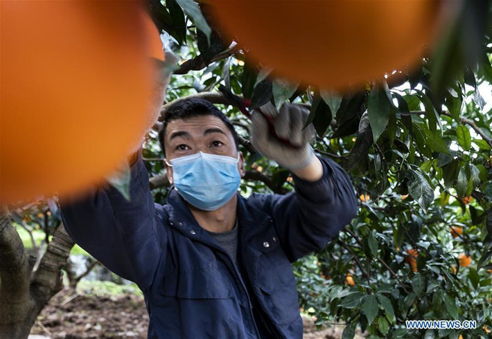 Họ mang khẩu trang để bảo vệ sức khỏe giữa lúc virus corona chủng mới, xuất phát từ Vũ Hán, đã lây nhiễm cho hàng chục nghìn người tại Trung Quốc.