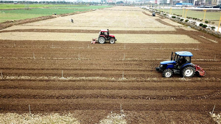 Tuy nhiên, người nông dân đang tích cực lao động sản xuất. Ảnh: Máy cày trên cánh đồng ở Dong Giang, tỉnh Quý Châu, ngày 19/2.