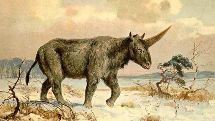 Kỳ lân là một sinh vật thần thoại. Tuy nhiên, loài vật này có thể đã sống ở Siberia. Các nhà khoa học cho rằng chúng tồn tại cách đây 350 nghìn năm trước.