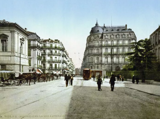 Những chiếc xe ngựa xếp hàng ven đường ở Montpellier.