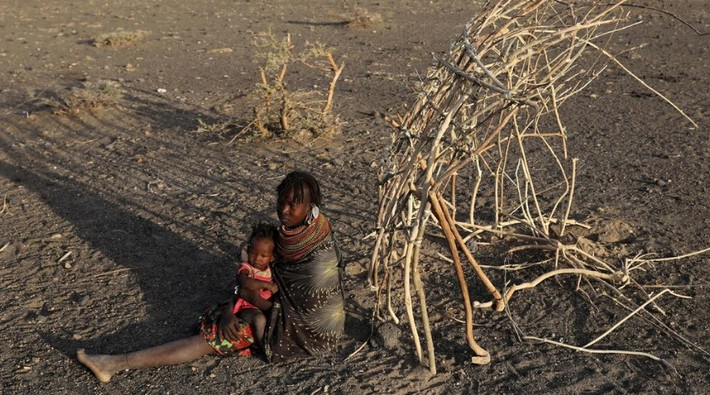 Reuters đưa tin, chính phủ Kenya cho biết, khoảng 2,7 triệu người đã bị ảnh hưởng do hạn hán kinh hoàng ở Kenya. Ước tính, hạn hán làm chết khoảng 20% số gia súc ở những khu vực khô cằn và bán khô cằn của nước này.