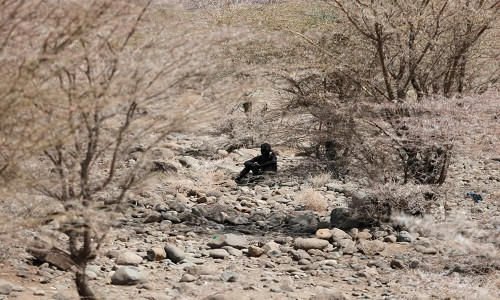 Đây là đợt hạn hán tồi tệ nhất trong 5 năm qua ở miền bắc Kenya. (Nguồn ảnh: Reuters)