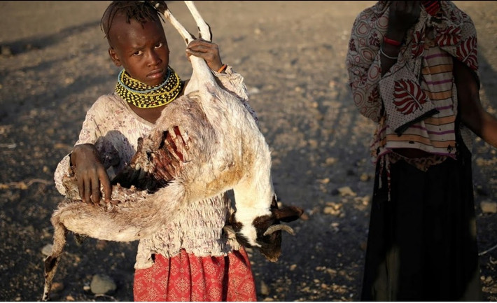 Được biết, ở khu vực phía nam Hồ Turkana, người dân thu gom và đốt xác động vật để ngăn chặn nguy cơ dịch bệnh bùng phát trong bối cảnh nhiều loài gia súc chết đói vì hạn hán.
