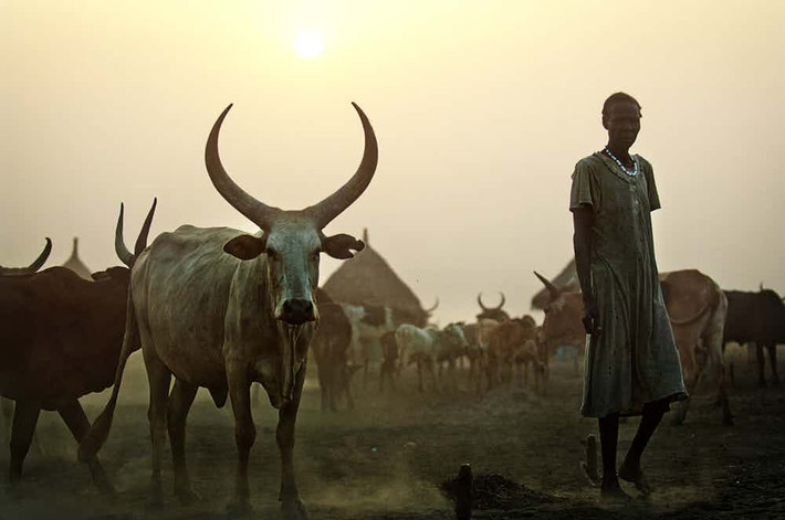 Theo phong tục cưới xin của người Nuer ở đất nước Sudan, Bắc Phi, cô dâu sẽ bị cạo đầu trước khi bước vào phòng tân hôn. (Nguồn ảnh: The Richest)