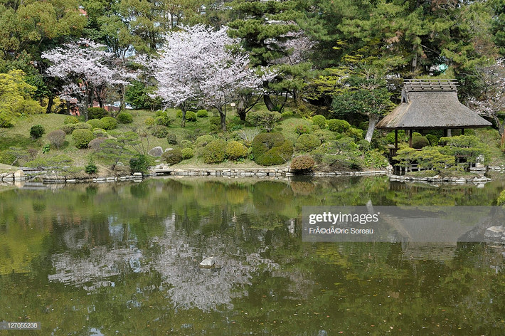 Theo The Factfile, Nhật Bản có tổng cộng 6.852 hòn đảo, trong đó Honshu, Hokkaido, Kyushu và Shikoku là 4 hòn đảo chính. Ảnh: Getty.