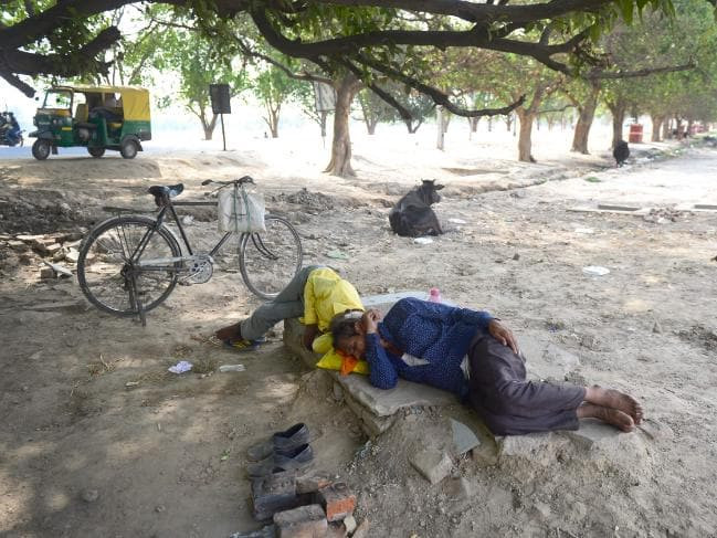 Người dân nằm nghỉ dưới tán cây ở Allahabad chiều 2/6. Ảnh: News.com.