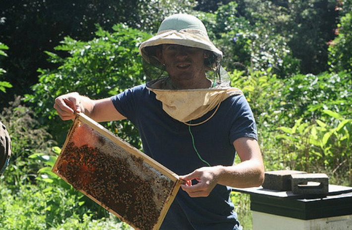 Cư dân trên đảo Pitcairn sinh sống nhờ du lịch, nông nghiệp và độc quyền mật ong. Có tin nói, Nữ hoàng Anh Elizabeth II rất thích mật ong trên đảo này.