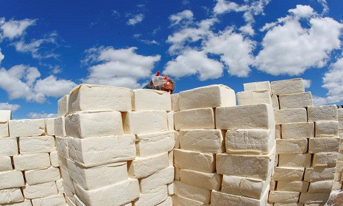 Được biết, dự án xây tường bằng pho mát của ông Cosimo được nhiều người ủng hộ.