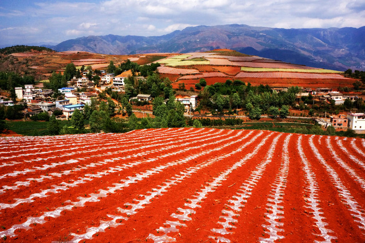 Dongchuan Red Land là một trong những thắng cảnh tuyệt đẹp ở thành phố Côn Minh, Trung Quốc.