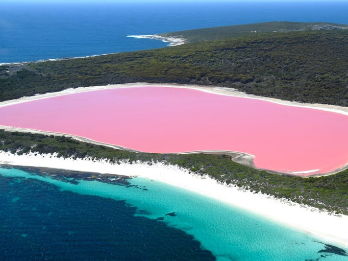 Hồ Hillier ở Australia là một trong những hồ nước đặc biệt nhất hành tinh bởi màu hồng tự nhiên của nó.