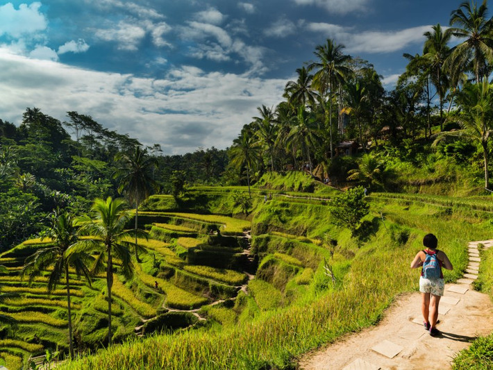 Tegalalang là một trong những ruộng bậc thang nổi tiếng nhất Indonesia.