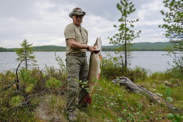 Câu cá là một trong những hoạt động ưa thích của Tổng thống Nga Vladimir Putin, đặc biệt là tại các địa điểm ở nước Nga. Ảnh: TASS.