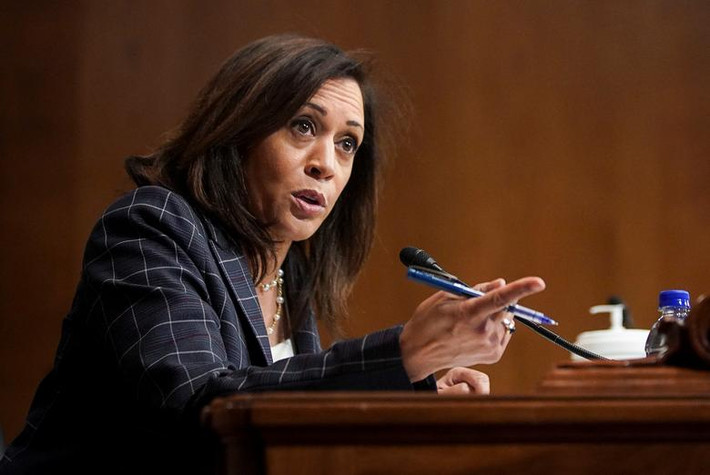 Tuy nhiên, lựa chọn trên của cựu ông Joe Biden không phải là điều quá bất ngờ bởi bà Kamala Harris trước đó đã được giới chuyên gia dự đoán là một trong những ứng cử viên hàng đầu trong danh sách lựa chọn người liên danh tranh cử của ông Biden. Ảnh: Reuters.