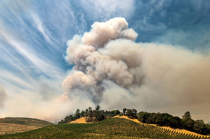 Ít nhất 10 bang khác cũng cử đội hỗ trợ chữa cháy mặt đất hoặc trên không đến California.
