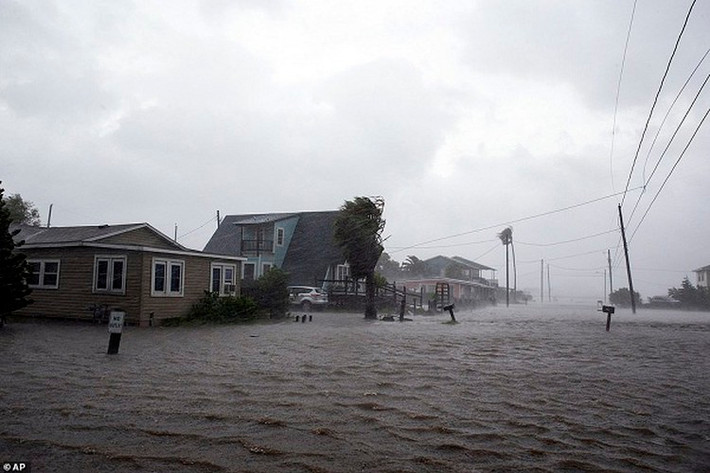 Trước đó, ngày 27/7, bão Hanna mang theo những cơn mưa lớn và gió mạnh đã đổ bộ vào bang Texas, gây ngập lụt tại nhiều nơi và làm ảnh hưởng đến cuộc sống của người dân địa phương.