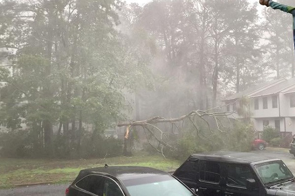 Thống đốc bang Bắc Carolina Roy Cooper kêu gọi người dân tích trữ lương thực thực phẩm, thiết bị khẩn cấp để ứng phó với bão cũng như tuân thủ lệnh sơ tán của địa phương...