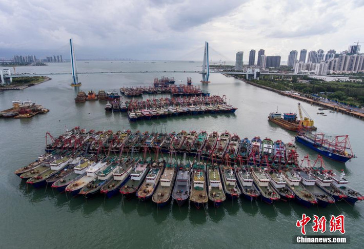 Hơn 20.000 tàu đánh cá đã vào cảng Hải Khẩu thuộc Hải Nam để tránh bão. Ảnh: China News.