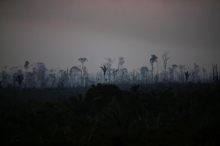 Cảnh tiêu điều ở khu rừng gần Apui, bang Amazonas, Brazil, ngày 9/8.