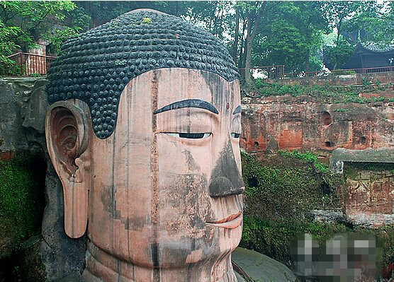 Phần đầu của tượng Đại Phật gây chú ý khi có tới 1.021 búi tóc.