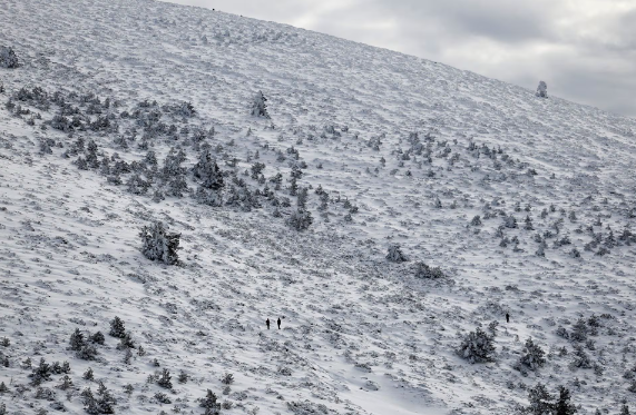 Người dân thăm đèo Navacerrada sau khi tuyết rơi mùa đông ở dãy núi Guadarrama phía bắc Madrid, Tây Ban Nha, ngày 12/1.