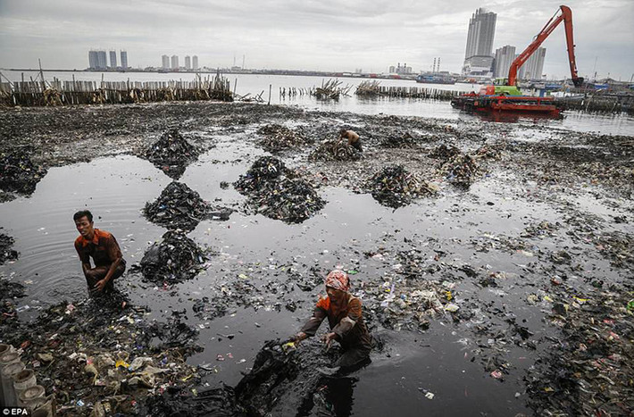 Một vấn đề nữa đặt ra cho thủ đô Indonesia đó là tình trạng thiếu hệ thống thoát nước và xử lý chất thải. Các kênh, mương bị tắc nghẽn làm ảnh hưởng đến quá trình thoát nước. Ảnh: EPA.