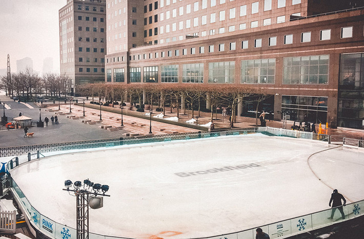 Từ Winter Garden, người ta có thể nhìn ra sân trượt băng Brookfield.