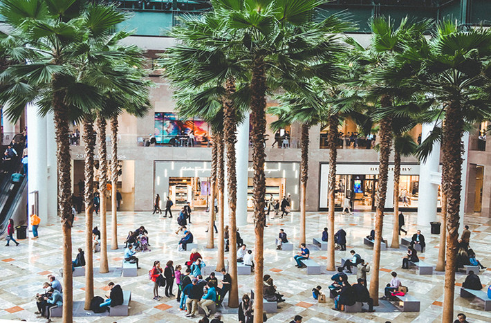 Khu vực này có rất nhiều cây cọ, bàn ghế để khách hàng đến Brookfield Place có thể ngồi nghỉ và thư giãn.