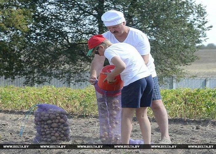 Qua công việc này, ông Lukashenko muốn để con mình gần gũi và hiểu sâu sắc về đời sống nông thôn.