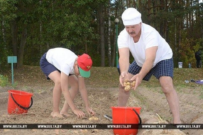 Trước đó, hồi năm 2016, hình ảnh nhà lãnh đạo Belarus thu hoạch khoai tây cũng thu hút sự chú ý của giới truyền thông.