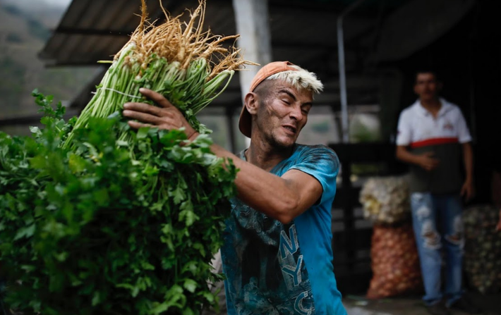 “Cách tốt nhất để đảm bảo an toàn là phục tùng và giao thứ gì đó. Khi đói, con người trở nên rất nguy hiểm”, Roberto Maldonado, người bàn giao giấy tờ cho các tài xế xe tải ở La Grita, nói.