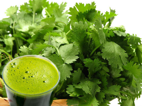 Rau mùi chứa chất chống oxy hóa: Ngoài giá trị vitamin, rau mùi còn cung cấp các hợp chất quan trọng là chất chống oxy hóa. Ảnh: Boldsky.