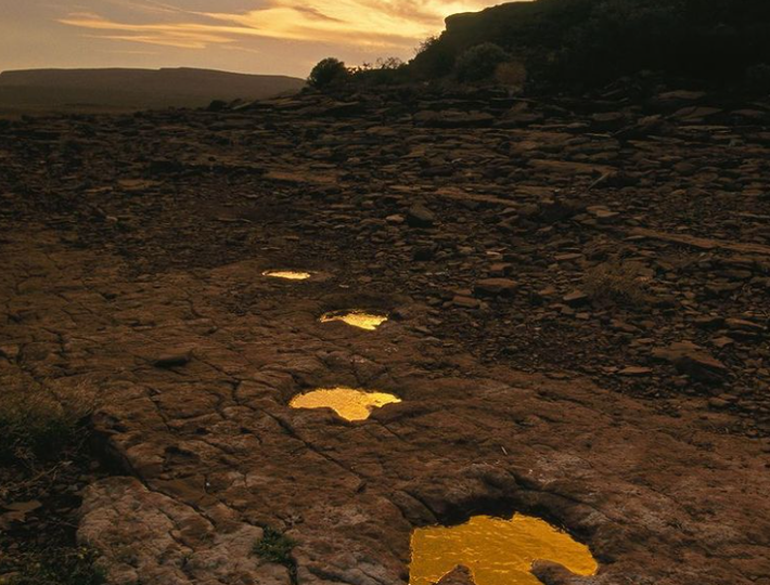Dấu vết của loài khủng long sống ở nửa đầu kỷ Phấn trắng, tại El Chocón, Argentina.