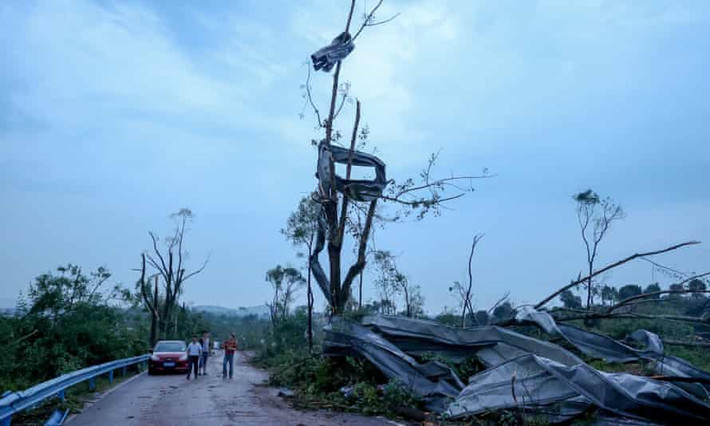 Mảnh vỡ văng lên cây sau khi lốc xoáy quét qua Vũ Hán. Ảnh: Reuters.