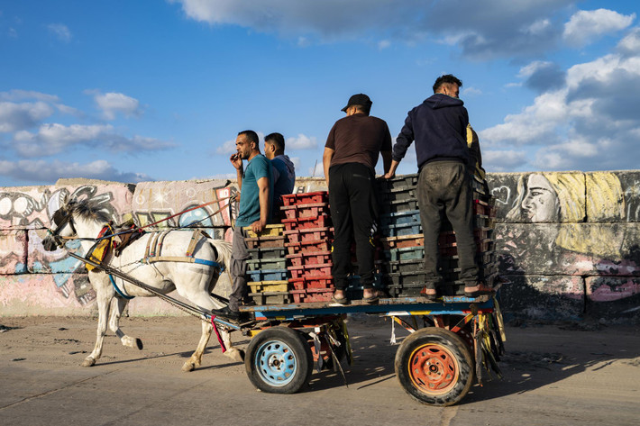 Ngư dân vận chuyển hàng hóa bằng xe ngựa tới chợ ở thành phố Gaza để bán.
