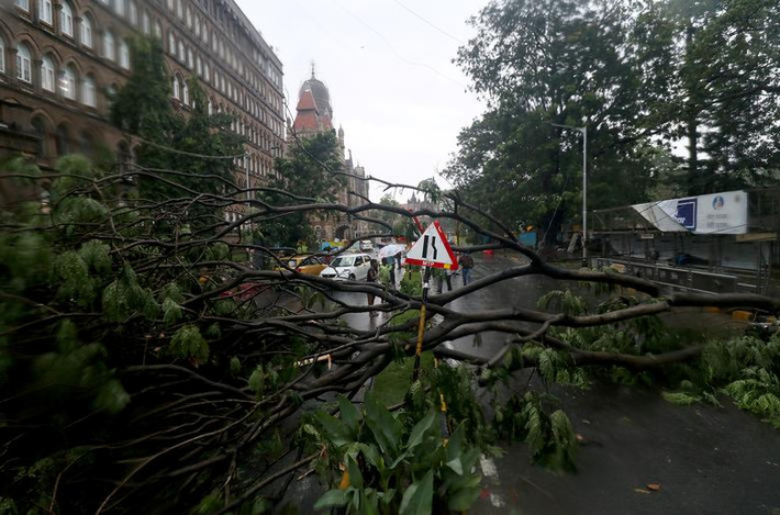 Cây đổ chắn ngang đường ở Mumbai ngày 17/5.