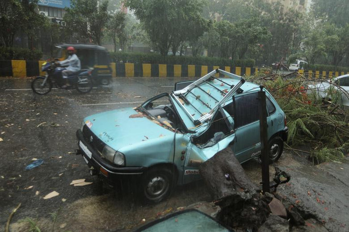 Cây đổ vào ô tô trên đường phố Mumbai.