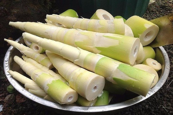 Tuy nhiên, cũng có những loại rau không hề tốt cho cơ thể, chúng có chứa những chất gây hại, ăn càng nhiều càng không tốt.
