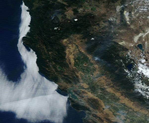 Khói bốc lên từ những đám cháy rừng ở California ngày 8/7 nhìn từ trên cao. Ảnh: Reuters.