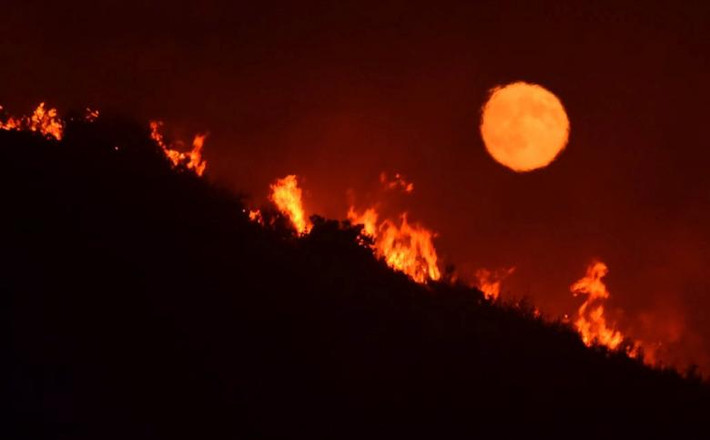 Đám cháy Alamo hôm 7/7. Ảnh: Reuters.