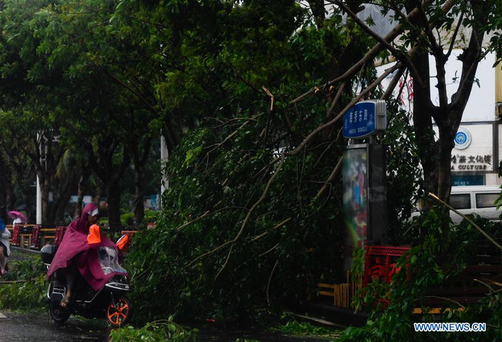 Những cơn gió mạnh và mưa lớn đã khiến giao thông địa phương bị gián đoạn. Sân bay quốc tế Hải Khẩu Meilan đã phải hủy 50 chuyến bay, trong khi sân bay thành phố Sanya phải huỷ 6 chuyến bay hôm 1/8.
