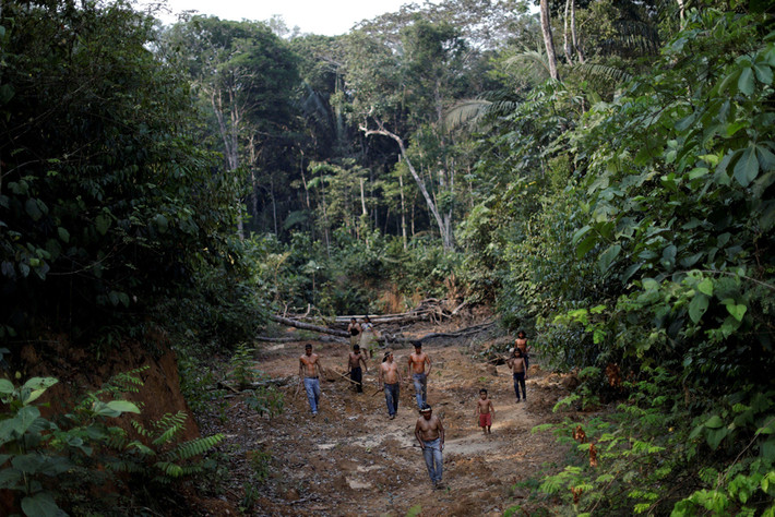 Riêng tại bang Amazonas, địa phương có diện tích rừng lớn nhất tại Brazil, có hơn 18.000 thổ dân Mura đang sinh sống, theo thống kê của tổ chức phi chính phủ Instituto Socioambiental. Các thành viên một bộ lạc đã dẫn phóng viên quốc tế đến xem một khoảnh rừng bị tàn phá có diện tích bằng nhiều sân bóng đá. Dấu vết xe ủi vẫn còn in rõ trên mặt đất. Ảnh: Reuters.