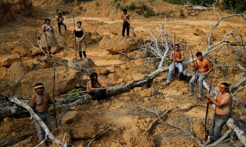 Cháy rừng tại Brazil tăng gần 80% từ đầu năm 2019 đến nay so với cùng kỳ năm 2018, đạt mức cao kỷ lục kể từ khi Viện Nghiên cứu Không gian Quốc gia (INEP), cơ quan hàng không vũ trụ của Brazil, bắt đầu theo dõi vào năm 2013. Giới chuyên gia bắt đầu lo sợ cháy rừng và nạn phá rừng sẽ cướp đi mái nhà những bộ lạc thổ dân Amazon. Ảnh: Reuters.