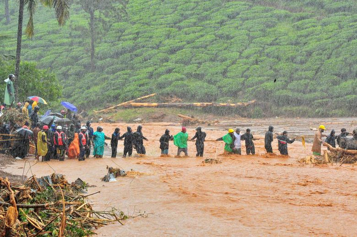 Tờ India Today đưa tin, 116 người đã thiệt mạng tại Karnataka, Gujarat và Maharashtra, trong khi số người chết do mưa lũ tại bang Kerala những ngày qua đã tăng lên con số 85 hôm 12/8. Theo dự báo, mưa lớn có thể tiếp diễn trong hai ngày tới ở phía nam Kerala.