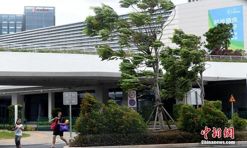 Tính đến 19 giờ tối 24/8, sân bay Hạ Môn ở Phúc Kiến đã phải huỷ bỏ 159 chuyến bay. Ảnh: THX.
