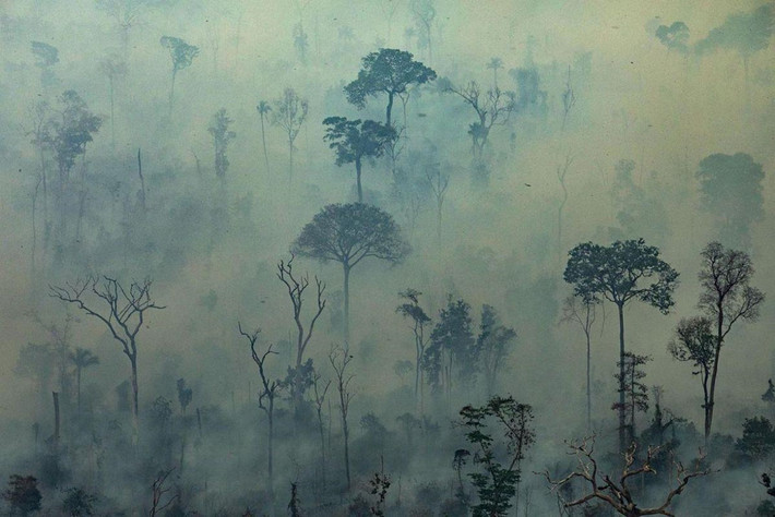 Khói phủ kín một cánh rừng ở thị trấn Altamira, bang Para, Brazil ngày 23/8. Ảnh: AFP.