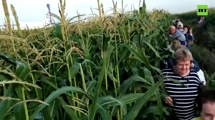 Những hình ảnh được đăng tải cho thấy nhiều hành khách ra khỏi máy bay và đi bộ trên cánh đồng. Ảnh: RT.
