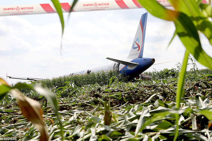 Ngày 15/8, máy bay A321 khởi hành từ sân bay Zhukovsky theo hướng Moscow-Simferopol (Crimea) chở 233 người gồm hành khách và thành viên phi hành đoàn, đã bị chim lao vào động cơ khi vừa cất cánh. Ảnh: Reuters.