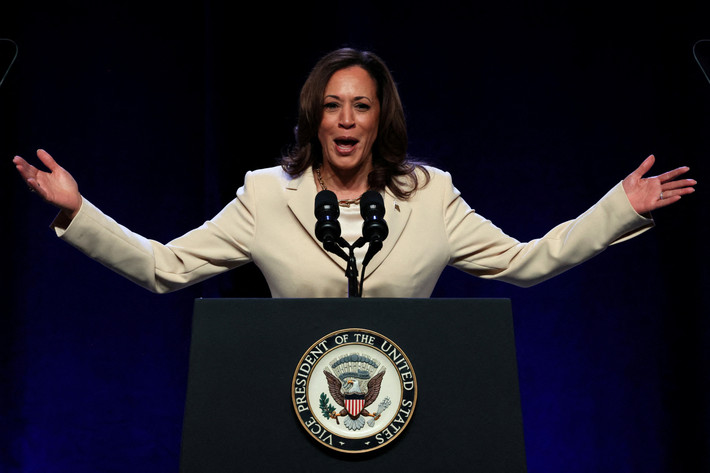 Phó Tổng thống Mỹ Kamala Harris cam kết giành đề cử từ Đảng Dân chủ và sẽ làm mọi thứ trong khả năng của mình để đánh bại ông Donald Trump, ứng viên Tổng thống Mỹ của Đảng Cộng hòa. Ảnh: Reuters.
