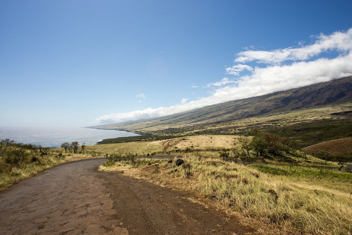 Hawaii không có rắn. Những người bị phát hiện buôn lậu rắn vào tiểu bang này có thể phải đối mặt với 3 năm tù và nộp phạt đến 200.000 USD. Ảnh: MN.